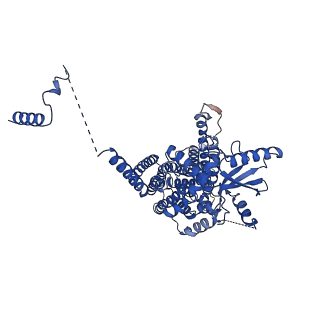 24723_7rx3_B_v1-1
afTMEM16 in C14 lipid nanodiscs with MSP1E3 scaffold protein in the absence of Ca2+