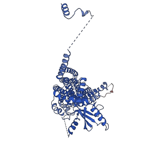 24726_7rxa_A_v1-1
afTMEM16 DE/AA mutant in C14 lipid nanodiscs in the presence of Ca2+