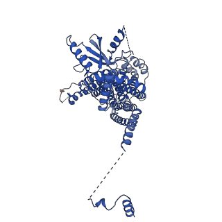 24726_7rxa_B_v1-1
afTMEM16 DE/AA mutant in C14 lipid nanodiscs in the presence of Ca2+