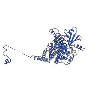 24727_7rxb_A_v1-1
afTMEM16 lipid scramblase in C18 lipid nanodiscs in the absence of Ca2+