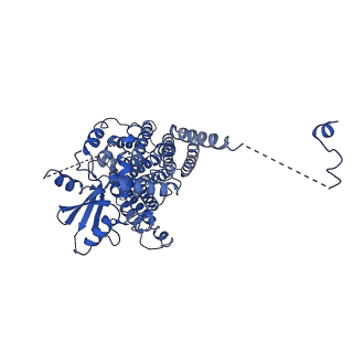 24727_7rxb_B_v1-1
afTMEM16 lipid scramblase in C18 lipid nanodiscs in the absence of Ca2+