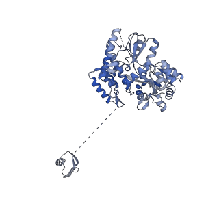 24729_7rxd_B_v1-1
CryoEM structure of RBD domain of COVID-19 in complex with Legobody