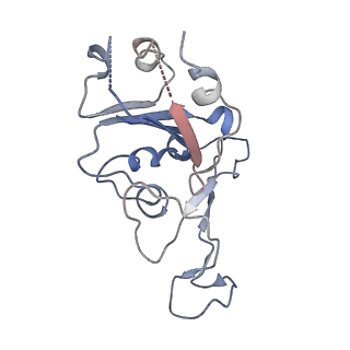 24729_7rxd_R_v1-1
CryoEM structure of RBD domain of COVID-19 in complex with Legobody