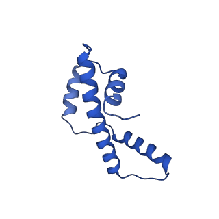 10058_6ryr_A_v1-0
Nucleosome-CHD4 complex structure (single CHD4 copy)