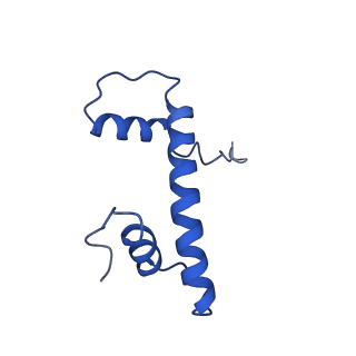 10058_6ryr_B_v1-0
Nucleosome-CHD4 complex structure (single CHD4 copy)