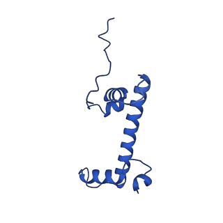 10058_6ryr_C_v1-0
Nucleosome-CHD4 complex structure (single CHD4 copy)