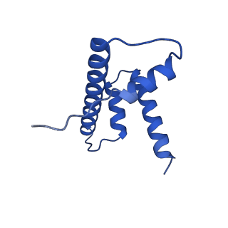 10058_6ryr_D_v1-0
Nucleosome-CHD4 complex structure (single CHD4 copy)