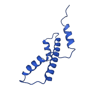 10058_6ryr_E_v1-0
Nucleosome-CHD4 complex structure (single CHD4 copy)