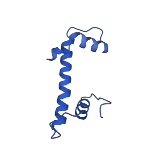 10058_6ryr_F_v1-0
Nucleosome-CHD4 complex structure (single CHD4 copy)