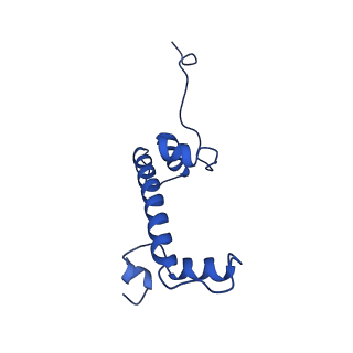 10058_6ryr_G_v1-0
Nucleosome-CHD4 complex structure (single CHD4 copy)
