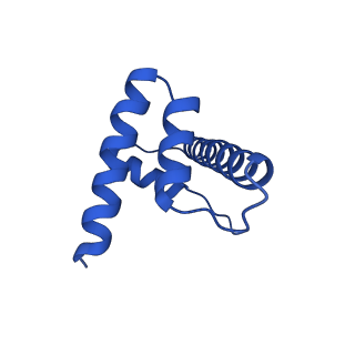 10058_6ryr_H_v1-0
Nucleosome-CHD4 complex structure (single CHD4 copy)
