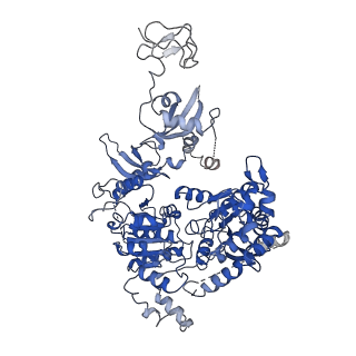 10058_6ryr_W_v1-0
Nucleosome-CHD4 complex structure (single CHD4 copy)