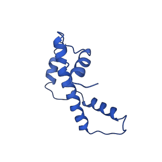 10059_6ryu_A_v1-0
Nucleosome-CHD4 complex structure (two CHD4 copies)