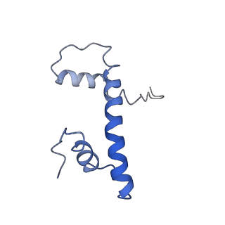 10059_6ryu_B_v1-0
Nucleosome-CHD4 complex structure (two CHD4 copies)