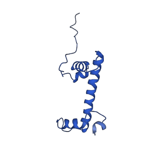 10059_6ryu_C_v1-0
Nucleosome-CHD4 complex structure (two CHD4 copies)