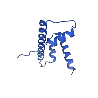 10059_6ryu_D_v1-0
Nucleosome-CHD4 complex structure (two CHD4 copies)