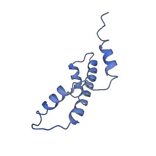 10059_6ryu_E_v1-0
Nucleosome-CHD4 complex structure (two CHD4 copies)