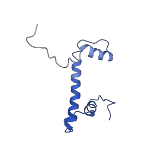 10059_6ryu_F_v1-0
Nucleosome-CHD4 complex structure (two CHD4 copies)