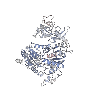 10059_6ryu_V_v1-0
Nucleosome-CHD4 complex structure (two CHD4 copies)