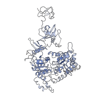 10059_6ryu_W_v1-0
Nucleosome-CHD4 complex structure (two CHD4 copies)