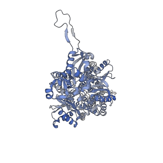 24732_7ry3_C_v1-2
Multidrug Efflux pump AdeJ with TP-6076 bound