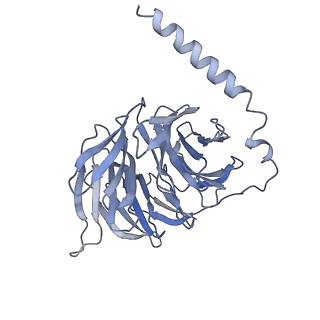 24733_7ryc_C_v1-2
Oxytocin receptor (OTR) bound to oxytocin in complex with a heterotrimeric Gq protein