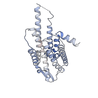 24733_7ryc_O_v1-2
Oxytocin receptor (OTR) bound to oxytocin in complex with a heterotrimeric Gq protein