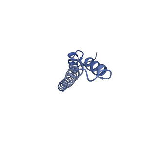 24735_7rye_A_v1-0
Cryo-EM structure of the needle filament-tip complex of the Salmonella type III secretion injectisome