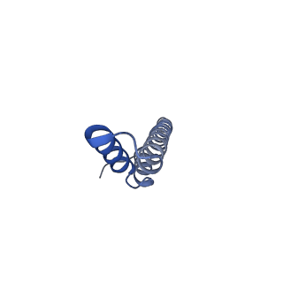 24735_7rye_B_v1-0
Cryo-EM structure of the needle filament-tip complex of the Salmonella type III secretion injectisome