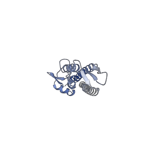 24735_7rye_F_v1-0
Cryo-EM structure of the needle filament-tip complex of the Salmonella type III secretion injectisome