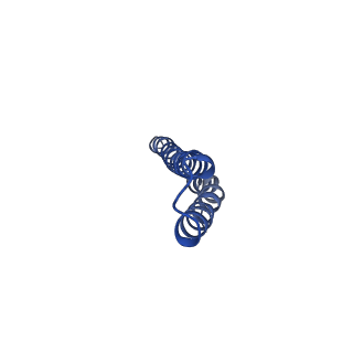 24735_7rye_H_v1-0
Cryo-EM structure of the needle filament-tip complex of the Salmonella type III secretion injectisome