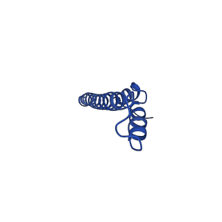 24735_7rye_J_v1-0
Cryo-EM structure of the needle filament-tip complex of the Salmonella type III secretion injectisome