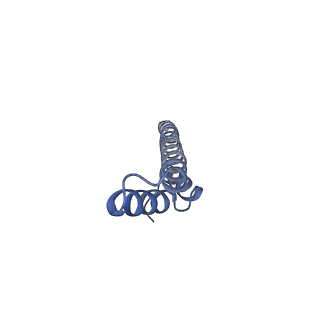 24735_7rye_M_v1-0
Cryo-EM structure of the needle filament-tip complex of the Salmonella type III secretion injectisome