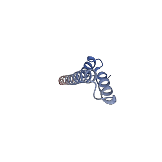 24735_7rye_N_v1-0
Cryo-EM structure of the needle filament-tip complex of the Salmonella type III secretion injectisome