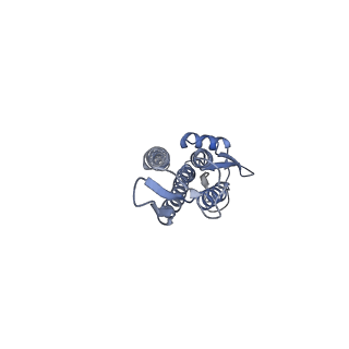 24735_7rye_O_v1-0
Cryo-EM structure of the needle filament-tip complex of the Salmonella type III secretion injectisome