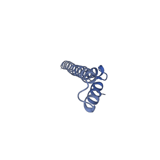 24735_7rye_P_v1-0
Cryo-EM structure of the needle filament-tip complex of the Salmonella type III secretion injectisome