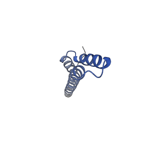 24735_7rye_Q_v1-0
Cryo-EM structure of the needle filament-tip complex of the Salmonella type III secretion injectisome