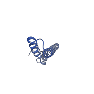24735_7rye_S_v1-0
Cryo-EM structure of the needle filament-tip complex of the Salmonella type III secretion injectisome