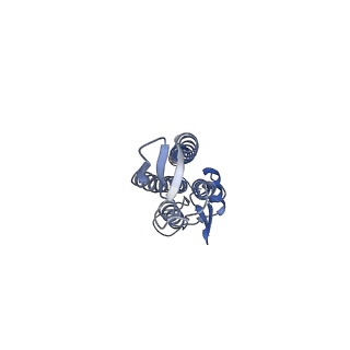 24735_7rye_X_v1-0
Cryo-EM structure of the needle filament-tip complex of the Salmonella type III secretion injectisome