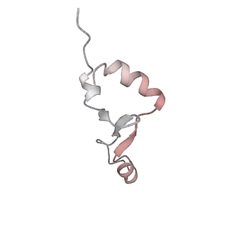 24738_7ryf_2_v1-2
A. baumannii Ribosome-TP-6076 complex: P-site tRNA 70S