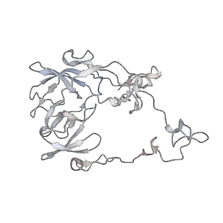 24738_7ryf_C_v1-2
A. baumannii Ribosome-TP-6076 complex: P-site tRNA 70S