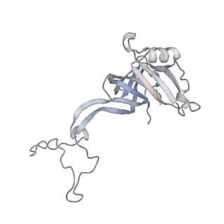 24738_7ryf_D_v1-2
A. baumannii Ribosome-TP-6076 complex: P-site tRNA 70S