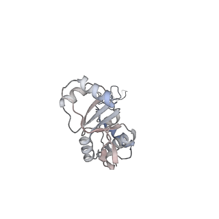 24738_7ryf_E_v1-2
A. baumannii Ribosome-TP-6076 complex: P-site tRNA 70S