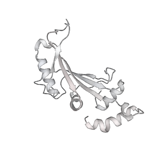 24738_7ryf_F_v1-2
A. baumannii Ribosome-TP-6076 complex: P-site tRNA 70S