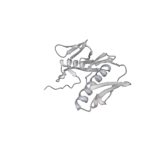 24738_7ryf_G_v1-2
A. baumannii Ribosome-TP-6076 complex: P-site tRNA 70S