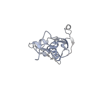 24738_7ryf_I_v1-2
A. baumannii Ribosome-TP-6076 complex: P-site tRNA 70S