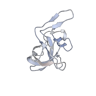24738_7ryf_J_v1-2
A. baumannii Ribosome-TP-6076 complex: P-site tRNA 70S