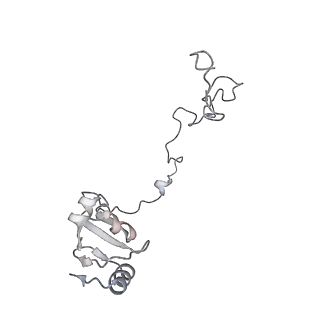 24738_7ryf_K_v1-2
A. baumannii Ribosome-TP-6076 complex: P-site tRNA 70S