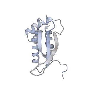 24738_7ryf_M_v1-2
A. baumannii Ribosome-TP-6076 complex: P-site tRNA 70S