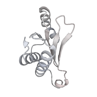 24738_7ryf_N_v1-2
A. baumannii Ribosome-TP-6076 complex: P-site tRNA 70S